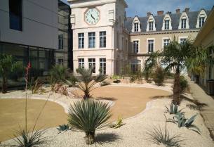 Plantation poitiers