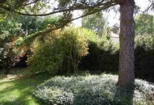 Création jardin poitiers